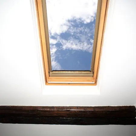 Magnolia Italian Hostings Bologna